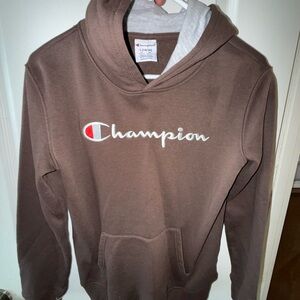 Champion Men's Brown Hoodie with Logo